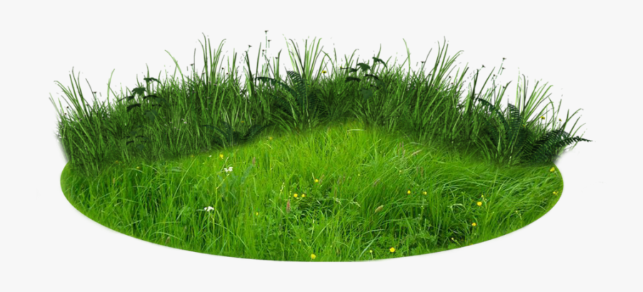 Transparent Clipart Image Grass Patch Of Land - Png Patch Of Land, Transparent Clipart