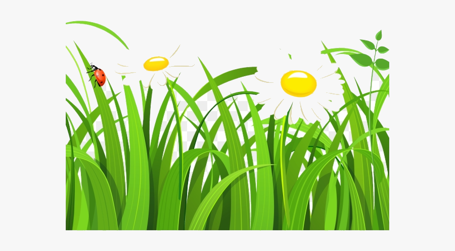 Grass Free Clipart Vector Transparent Png - Transparent Background Grass Clipart Transparent, Transparent Clipart