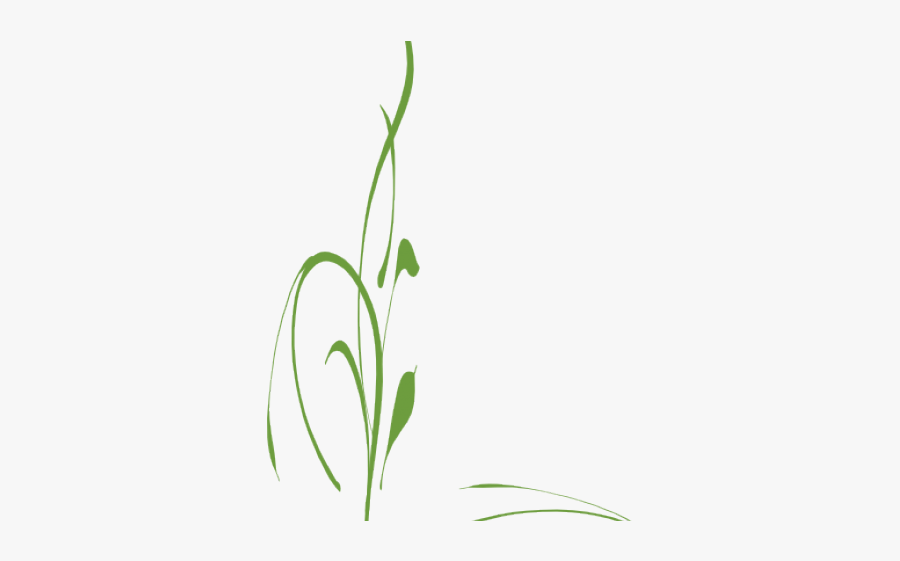 Vine Clipart Grass - Green Vine Border, Transparent Clipart