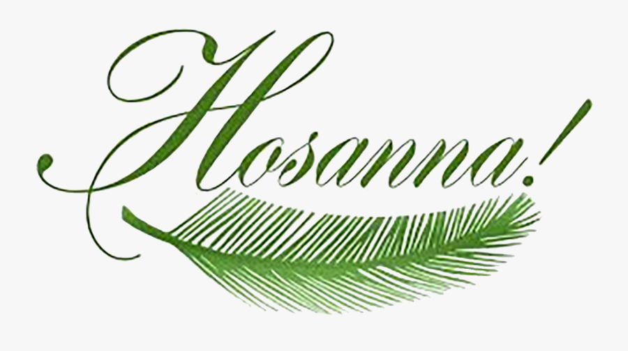 Pretty Design Clipart Palm Sunday By Sister Rose Ann - Palm Sunday, Transparent Clipart