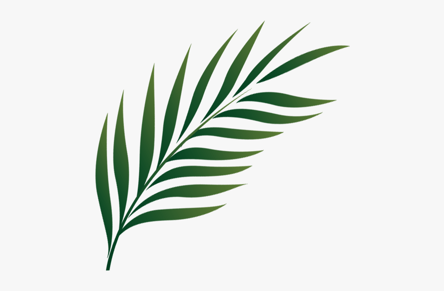 Clip Art Palm Sunday Images - Palm Leaf Icon Png, Transparent Clipart