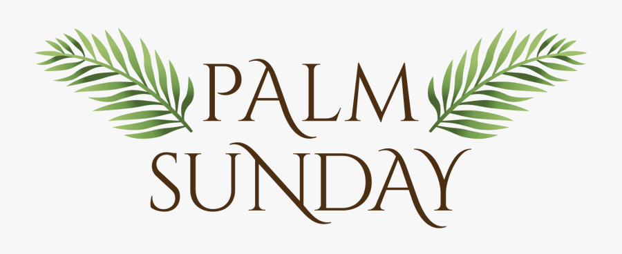 Transparent Palm Sunday Clip Art - Oil Of Olay, Transparent Clipart