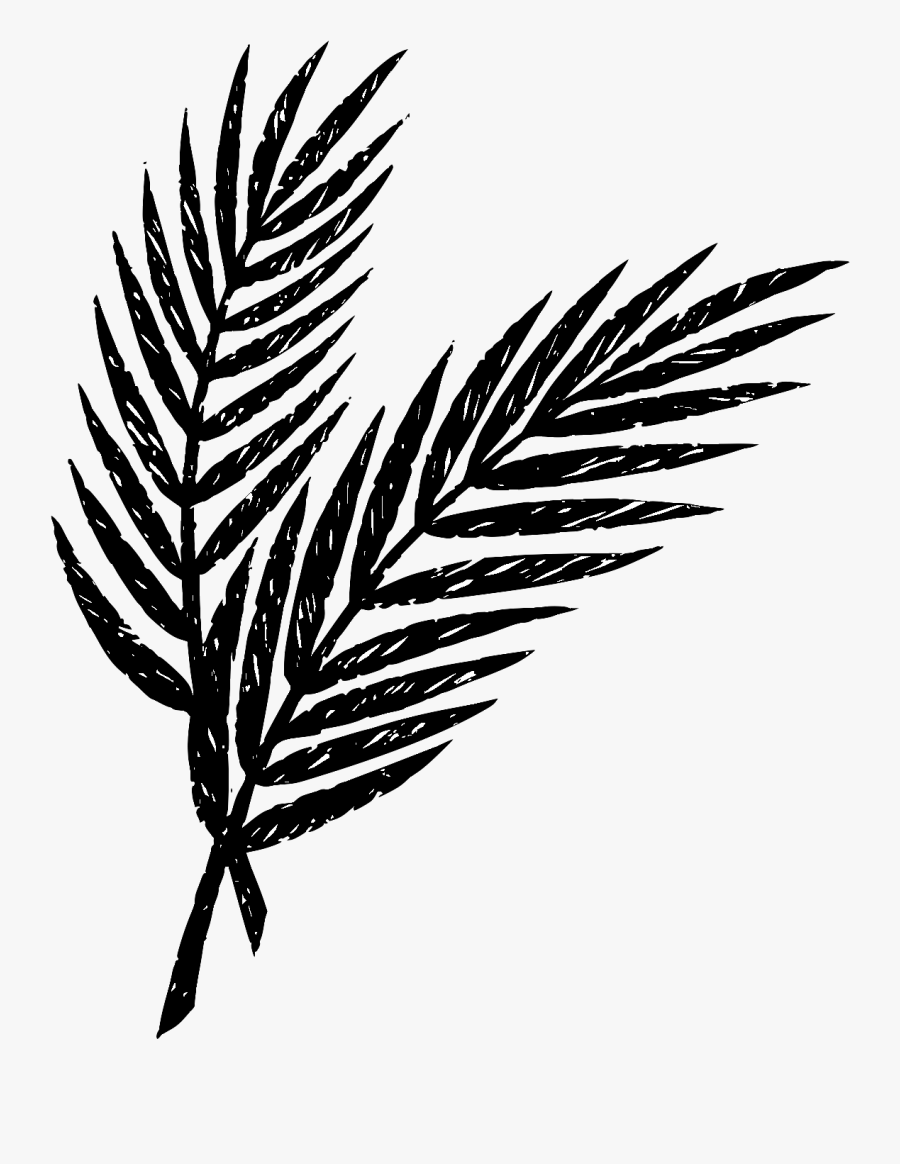 Palm Sunday Palm Clip Art, Transparent Clipart