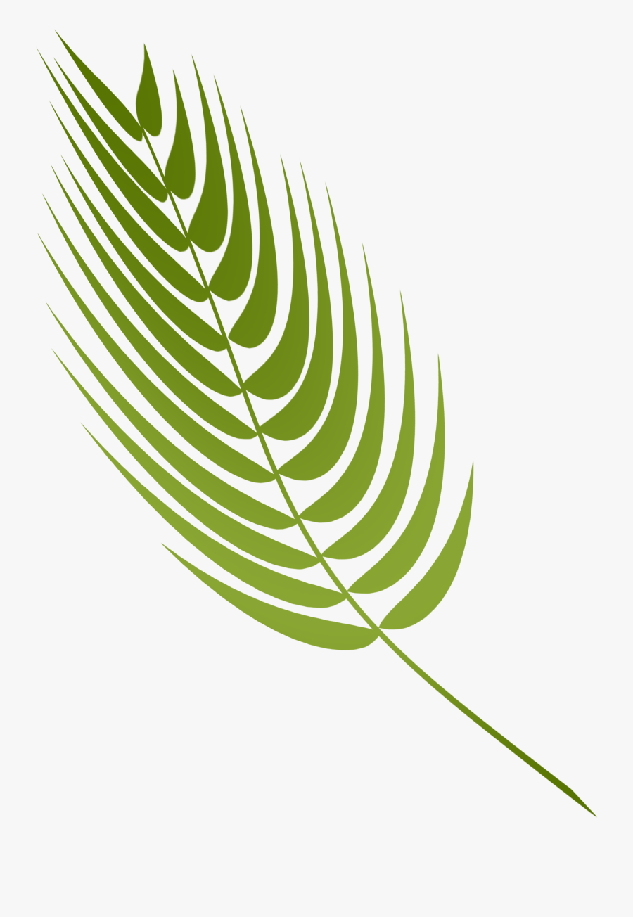 Transparent Palm Sunday Png - Palm Sunday Hd Png, Transparent Clipart