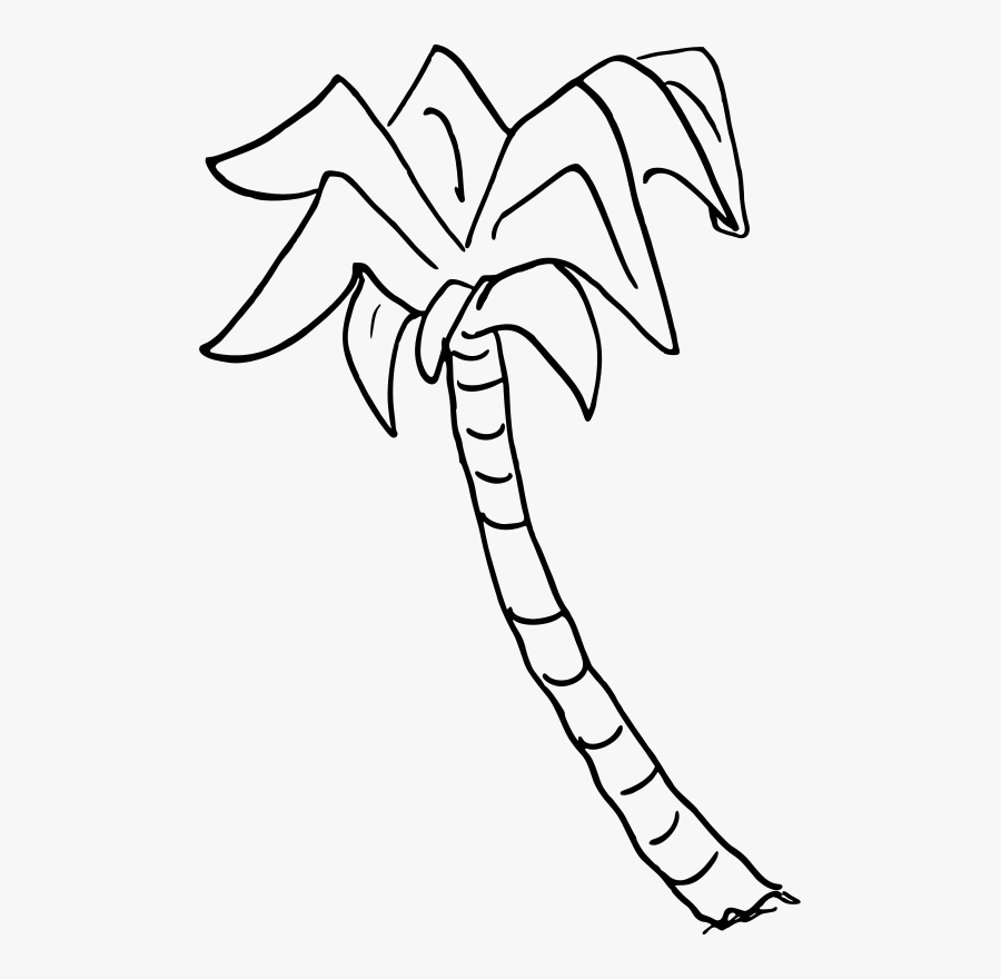 Clipart Palm Tree - Palm Tree Drawing Transparent, Transparent Clipart