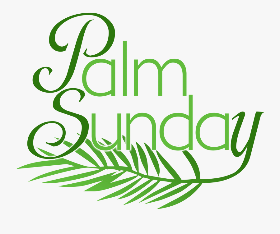 St Patrick Parish - Illustration, Transparent Clipart