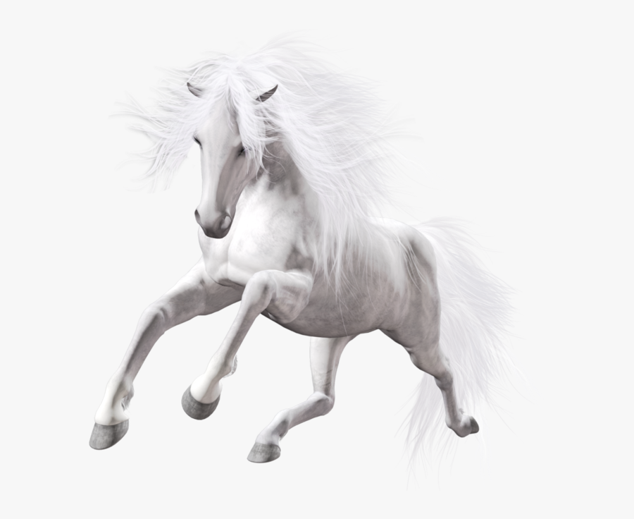 Transparent Horse Png Clipart - White Horse Transparent Background, Transparent Clipart