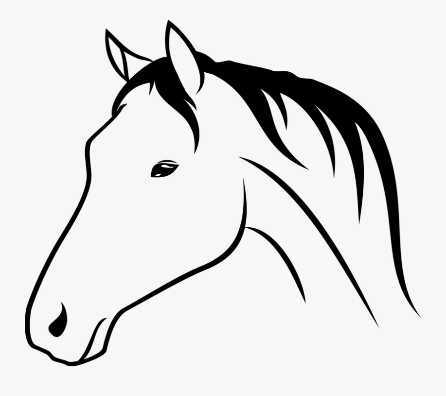 Bra Animal Horse Head - Clipart Horse Head Side View, Transparent Clipart