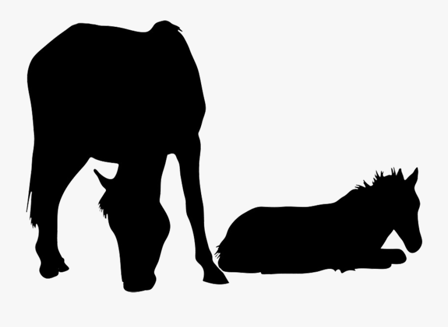 Mare With Foal Silhouette - Foal Clipart, Transparent Clipart