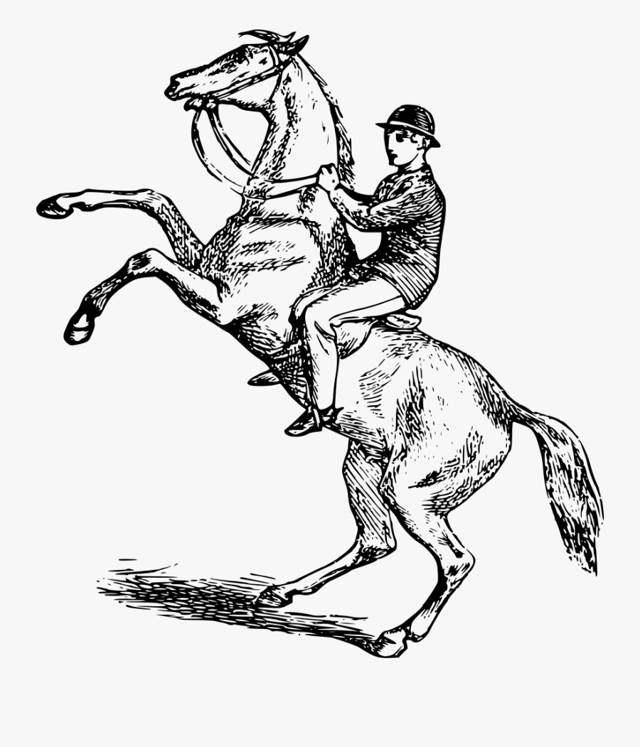 Clipart - - Horse Riding Clip Art, Transparent Clipart
