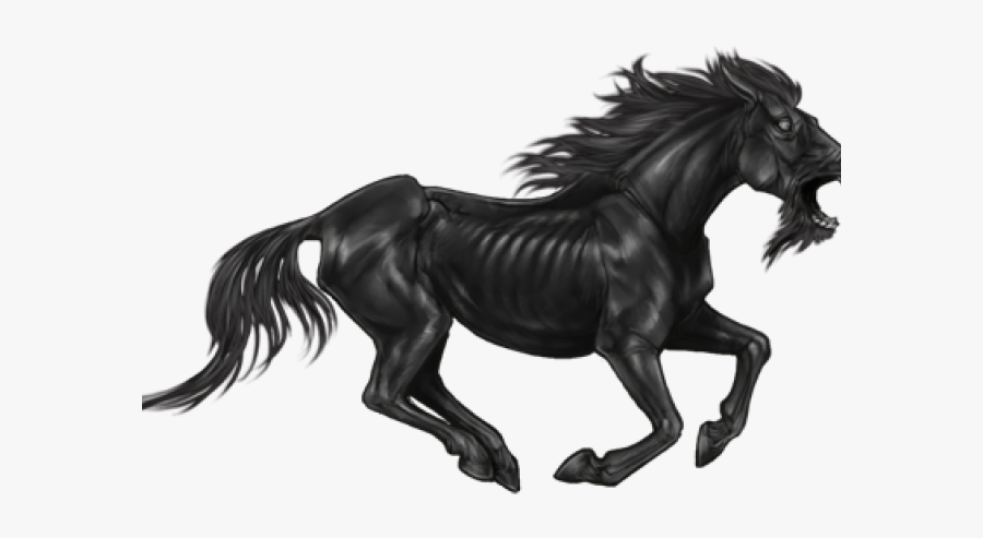 Stallion, Transparent Clipart