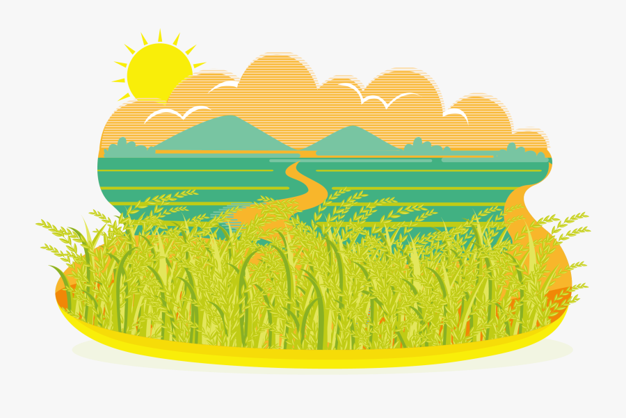 Field Clipart Paddy - Rice Field Clipart Png, Transparent Clipart