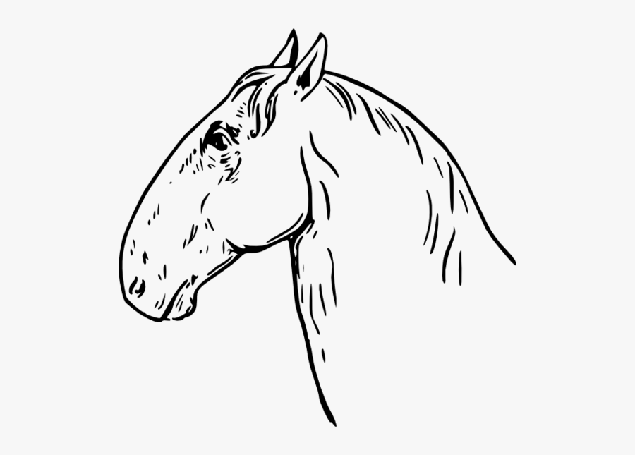 Horse Head Clip Art Free Clipart To Use Resource - Caballo Cabeza De Carnero, Transparent Clipart