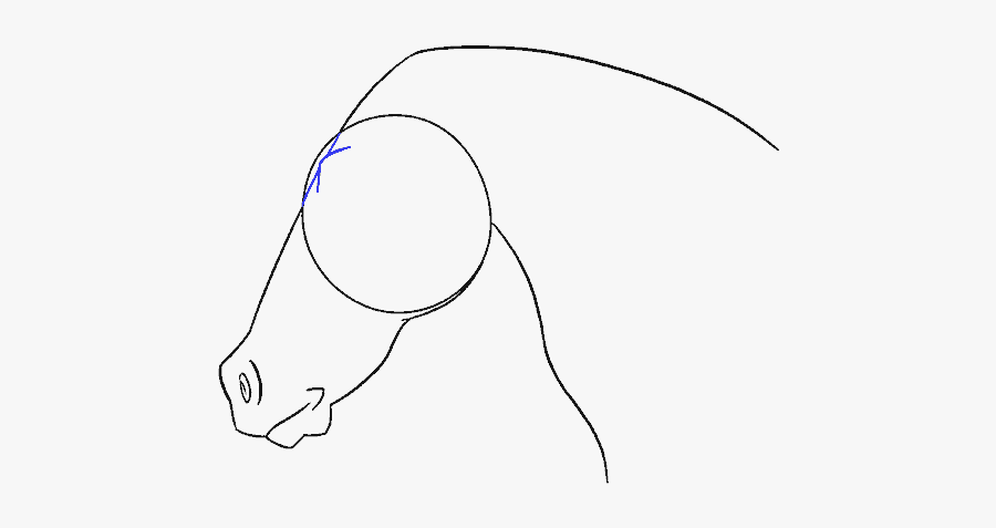 How To Draw Horse Head - Line Art, Transparent Clipart