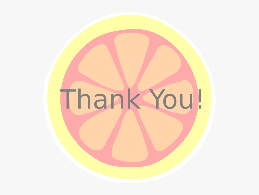 Circle, Transparent Clipart