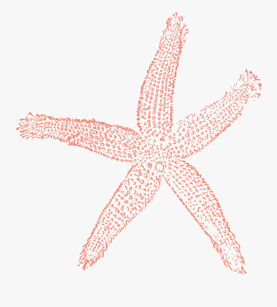 Free Coral Clipart Image Clip Art Images - Coral Starfish Clipart, Transparent Clipart