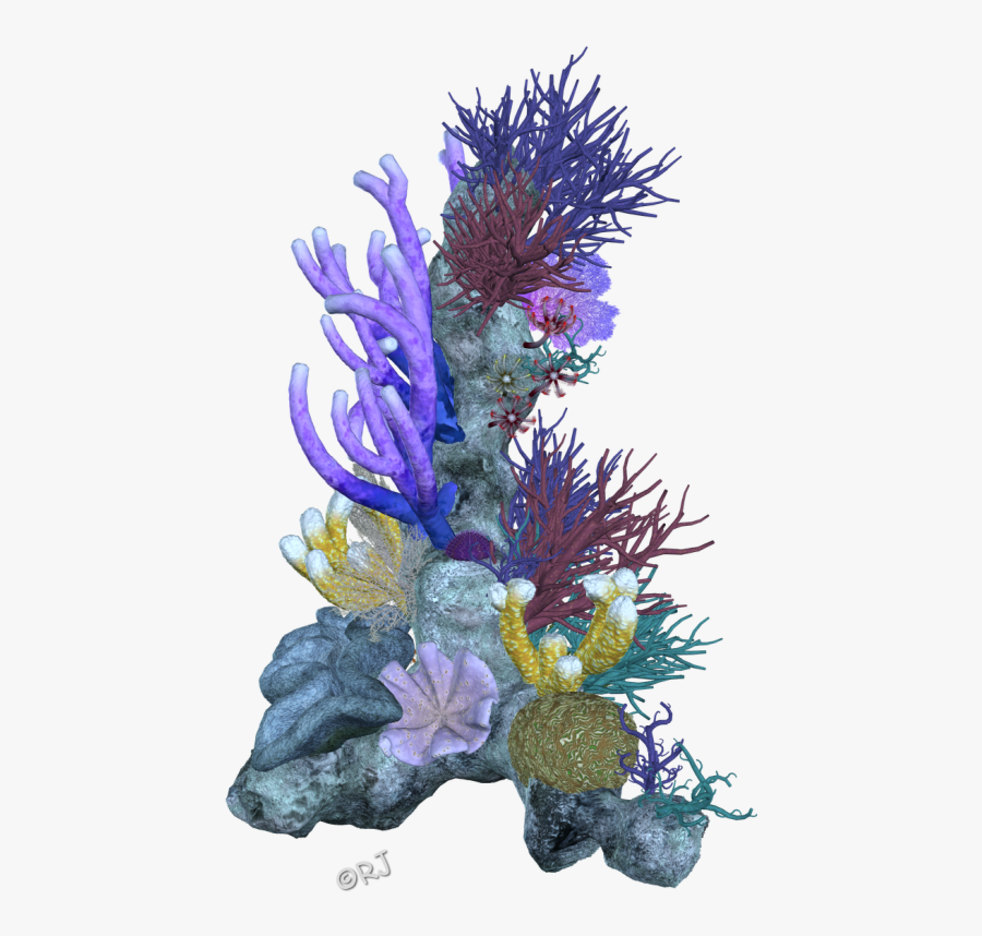 Pin Coral Reef Clipart Png - Transparent Coral Reef Png, Transparent Clipart