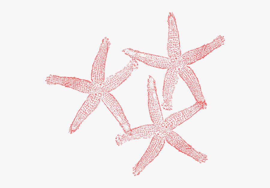 Thumb Image - Coral Starfish Clipart, Transparent Clipart