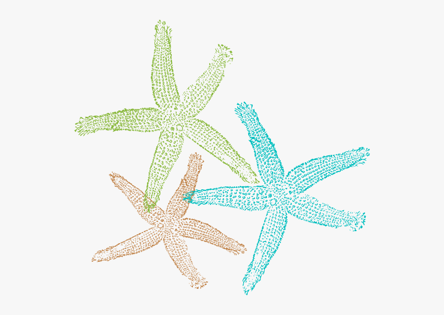 Clip Art Starfish Png, Transparent Clipart