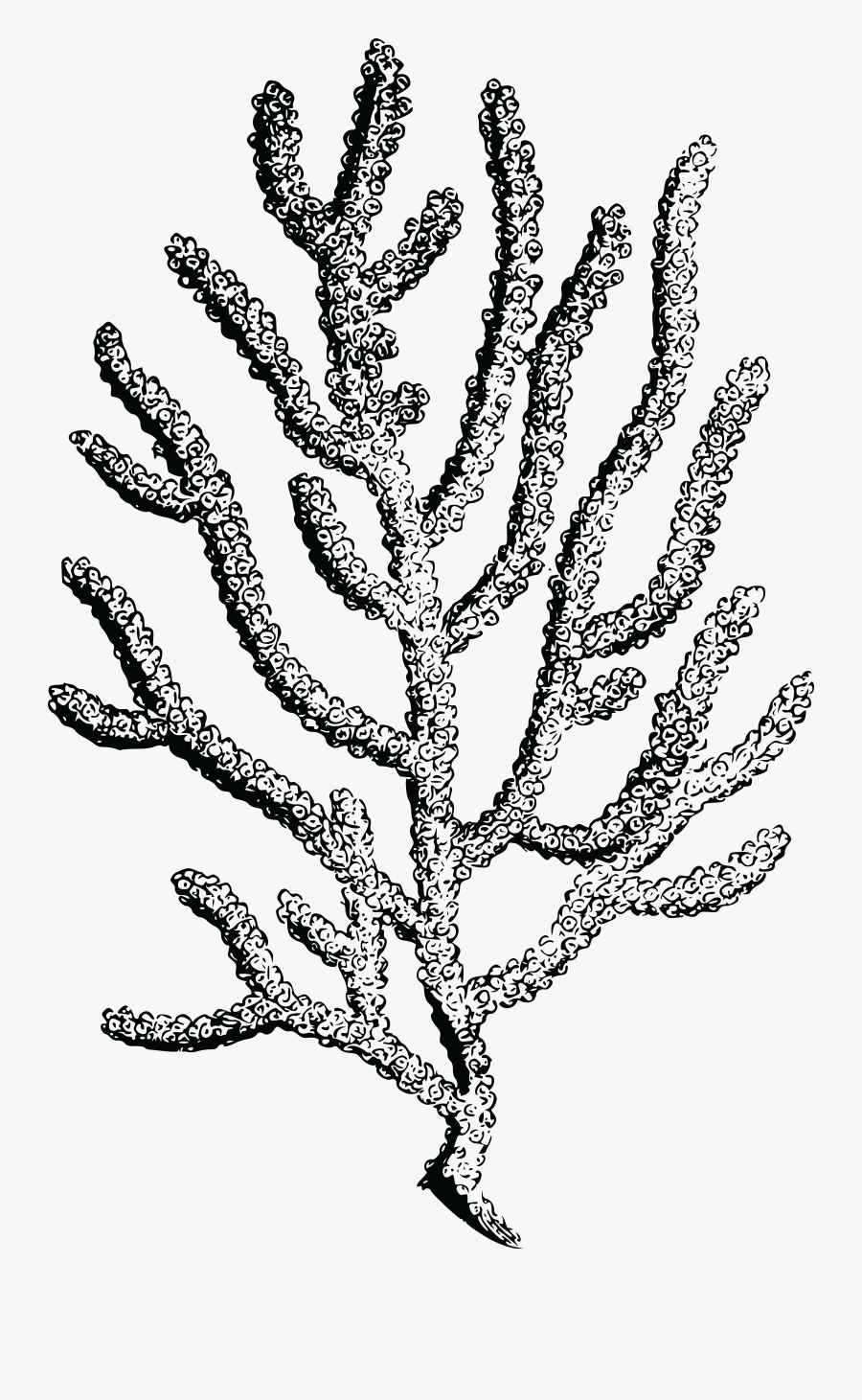 Red Computer Icons Deep - Coral With No Background, Transparent Clipart