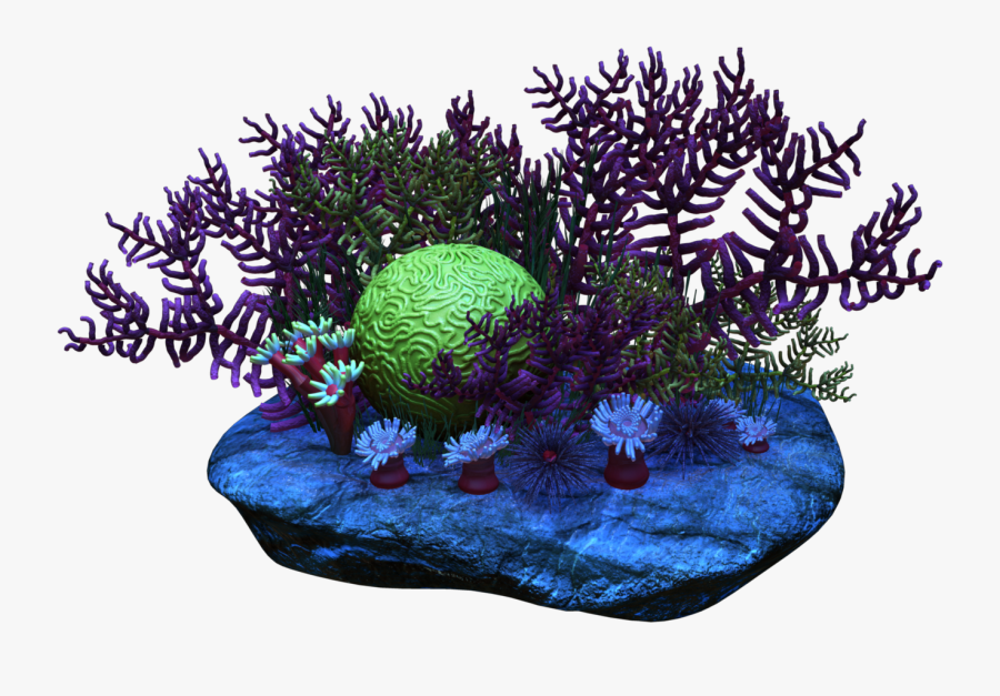 Free Download Transparent Coral Png Clipart Coral Reef - Coral Reef ...