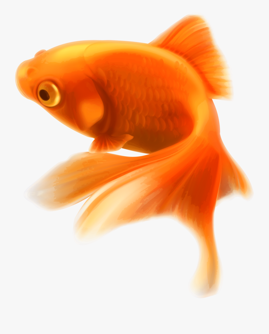 Collection Of Transparent - Fish Png, Transparent Clipart