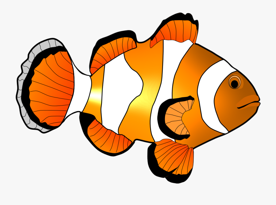 Clown Fish Clip Art - Clipart Fish Corals Cartoon, Transparent Clipart