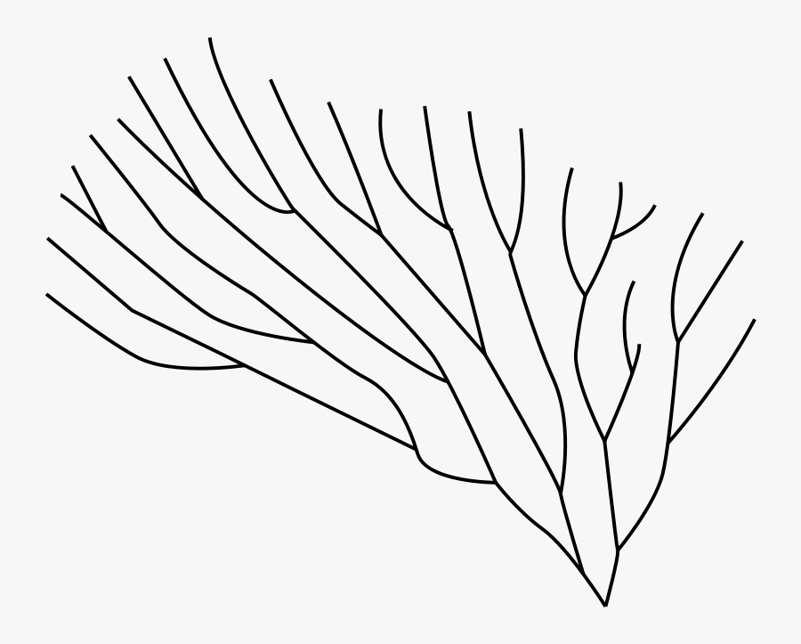 Bryozoa - Bryozoa Clipart, Transparent Clipart