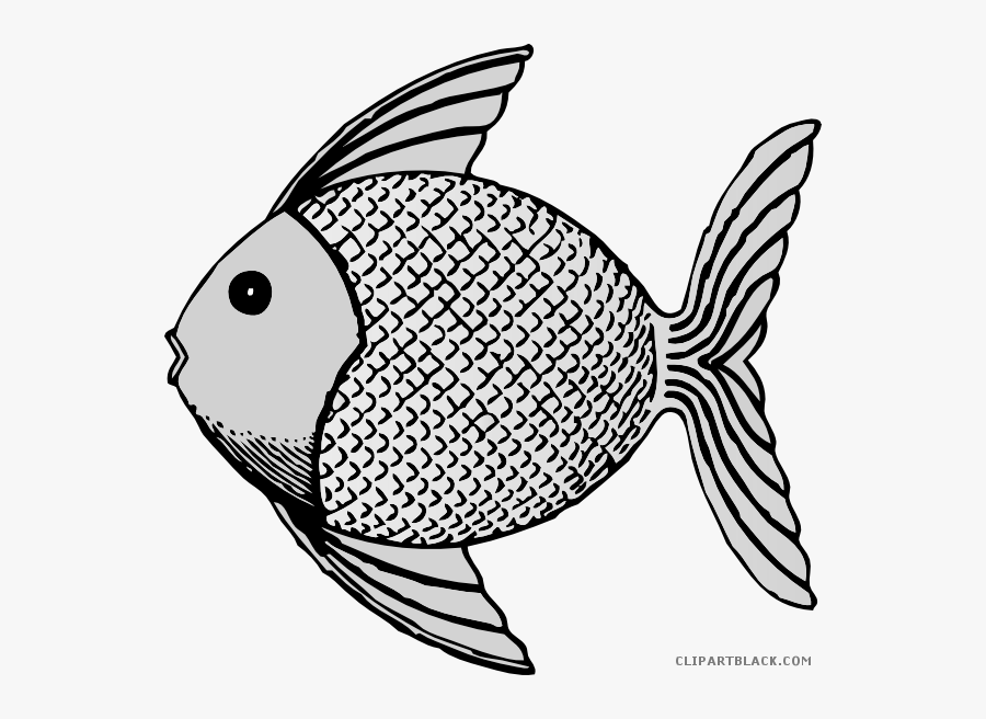 Transparent Coral Reef Clipart Black And White - Fish Clip Art, Transparent Clipart