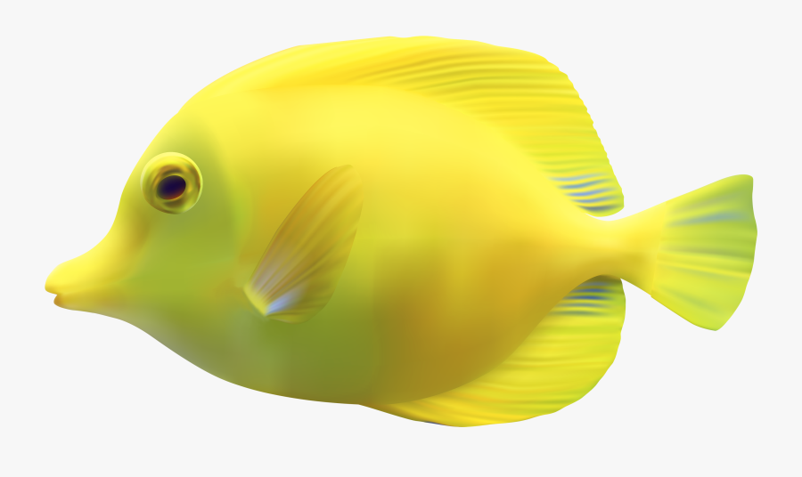 Yellow Zebrasomatang Fish Png Clipart - Fish Png, Transparent Clipart