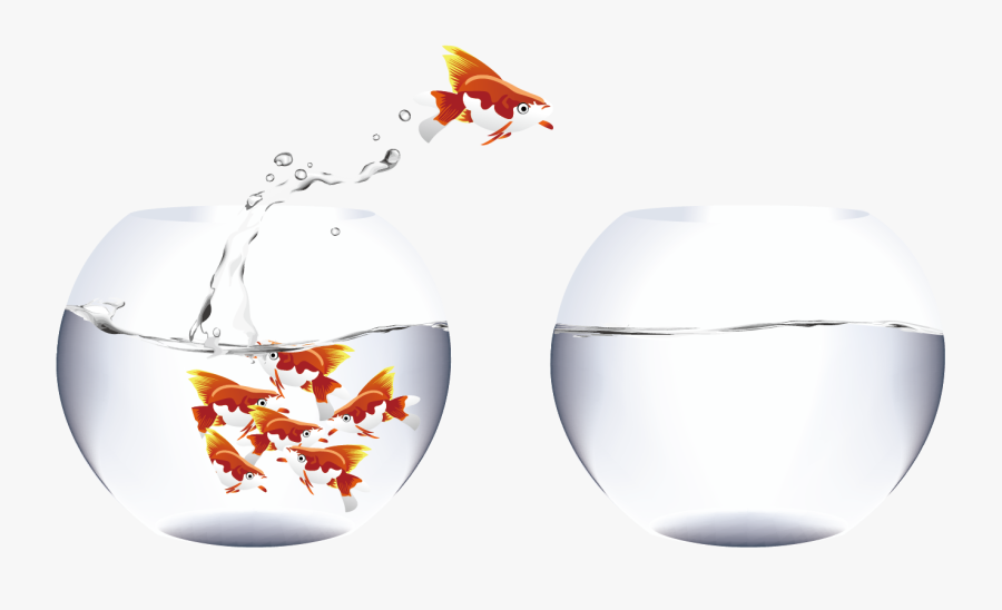 Carassius Auratus Clip Art - Peixe Fora D Água, Transparent Clipart