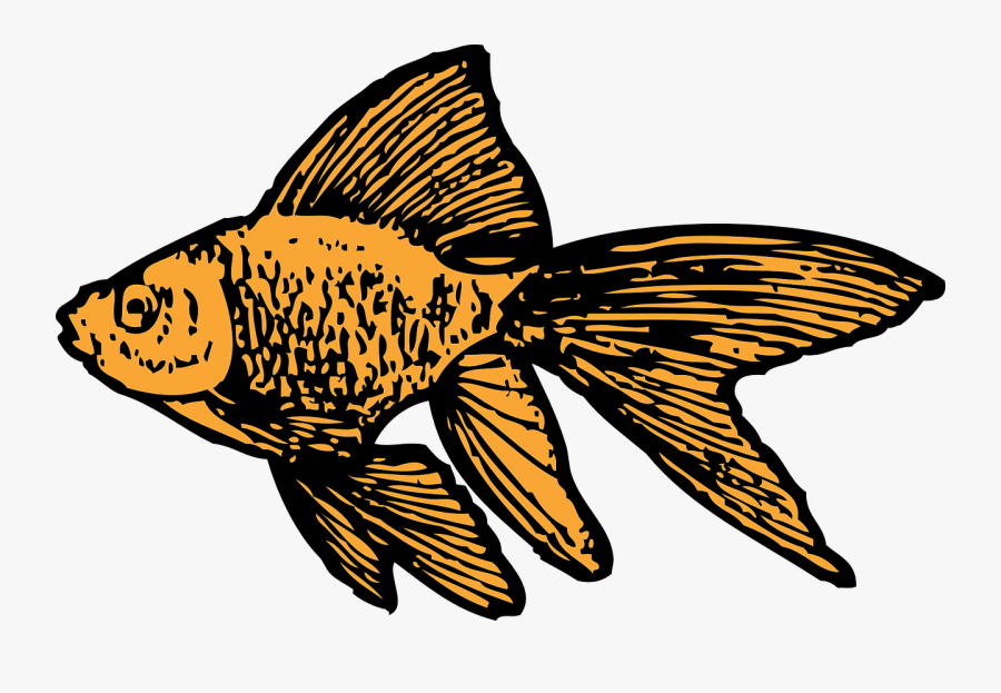 Goldfish - Goldfish Clip Art, Transparent Clipart