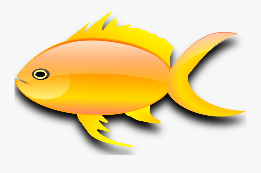 Transparent Goldfish Clipart - Gold Fish Clip Art, Transparent Clipart
