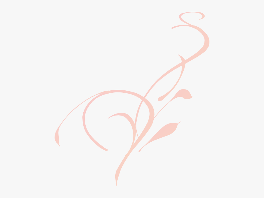Swirls Clipart Coral - Vine Clip Art, Transparent Clipart