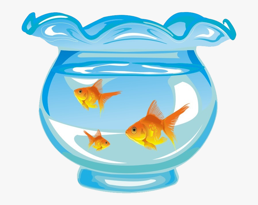 Goldfish Aquarium Fishkeeping - Aquarium Fish Tank Cartoon, Transparent Clipart