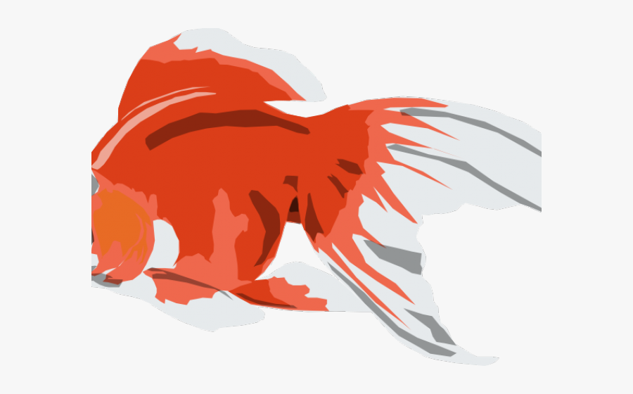 Goldfish Vector Png, Transparent Clipart