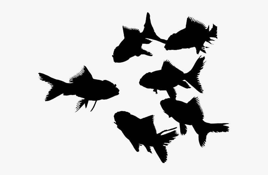Goldfish Png Clipart Download - Silhouette, Transparent Clipart