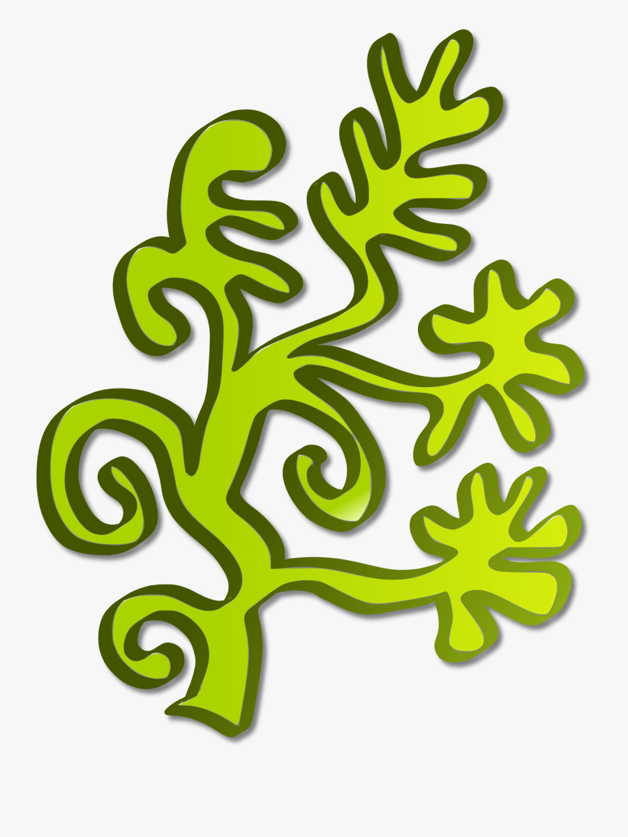 Clipart Freeuse Download Clipart Water Plant Big - Clipart Algae, Transparent Clipart