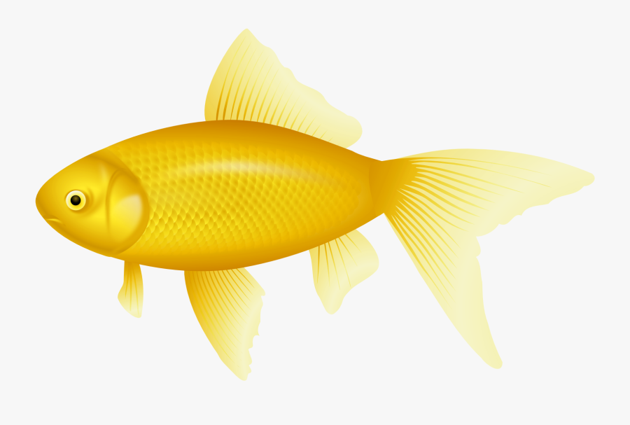 Yellow Fish Png Clipart - Transparent Background Yellow Fish Clipart, Transparent Clipart