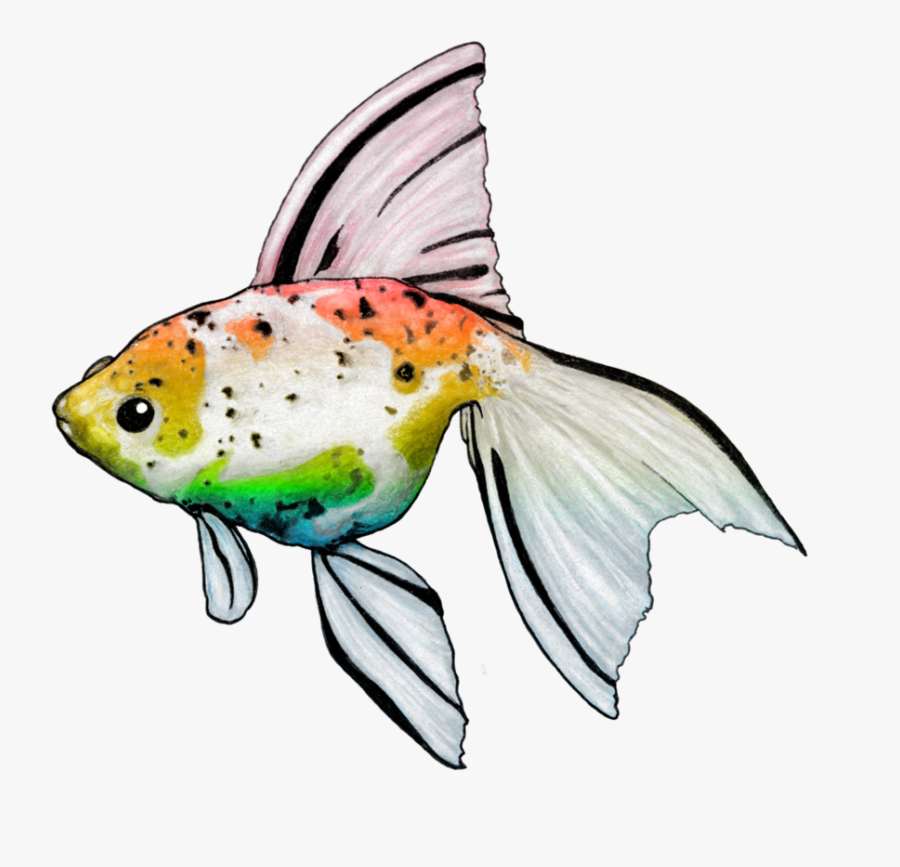 Rainbow Golfish By Nickidoodles - Bony-fish, Transparent Clipart