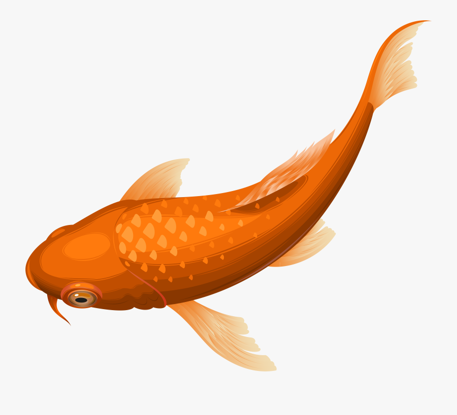 Orange Koi Fish Clip, Transparent Clipart