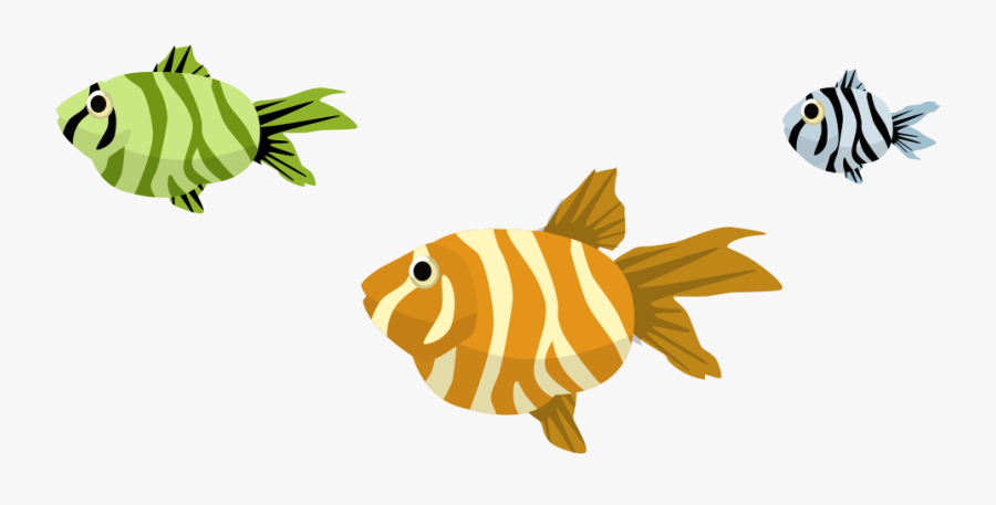 Transparent Coral Reef Clipart - Coral Reef Fish, Transparent Clipart