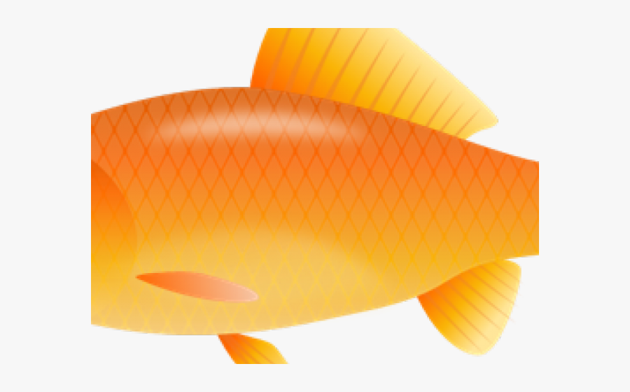 Transparent Goldfish Clipart - Fish, Transparent Clipart