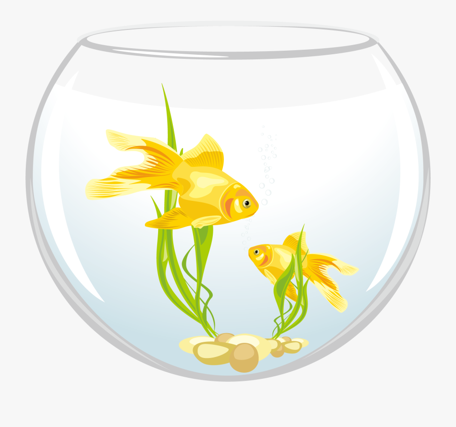 Goldfish Clipart Aquarium Fish - Two Goldfish Clipart, Transparent Clipart