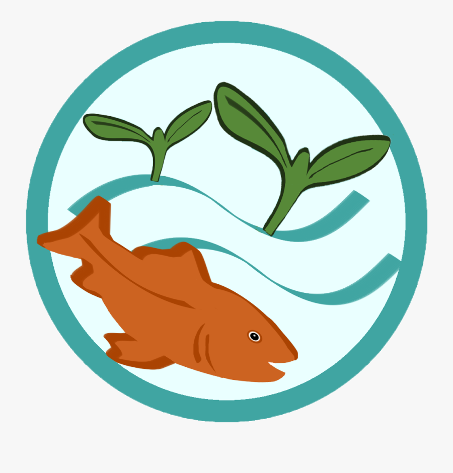 Learn About Aquaponics Grow - Aquaponics Clipart, Transparent Clipart