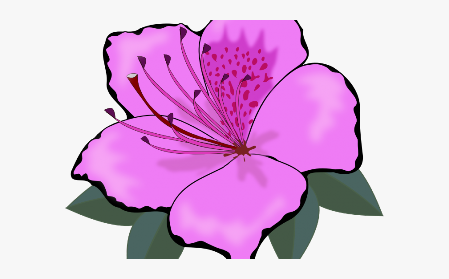 Orange Flower Clipart, Transparent Clipart