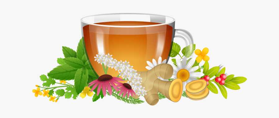 Herbal Tea Png Image Free Download Searchpng - Herbal Tea Images Free Download, Transparent Clipart