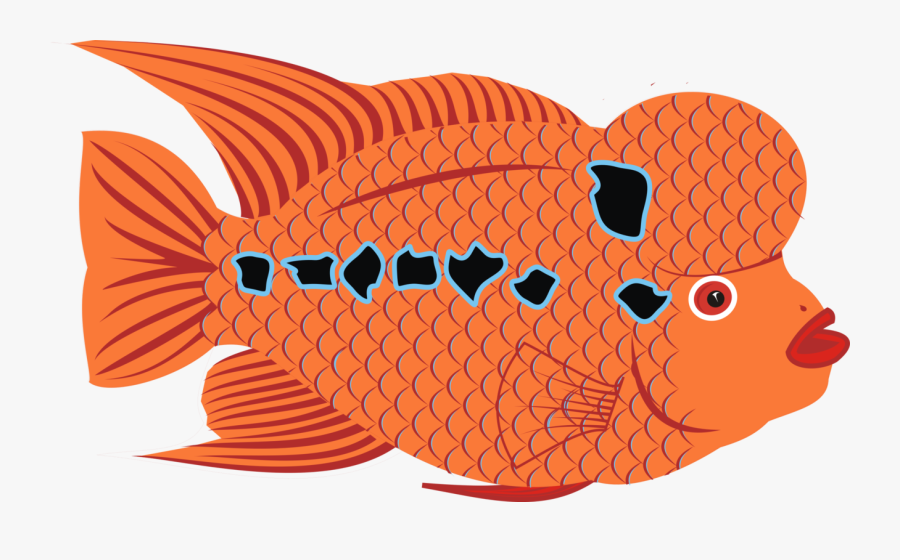 Art,food,fish - Flower Horn Clipart, Transparent Clipart