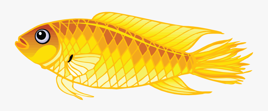 Fish Png Picture - Fish Clipart Png Transparent, Transparent Clipart