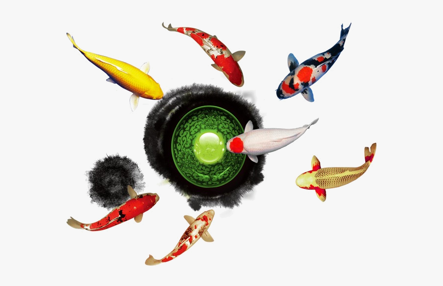 Dragon Ball Fish Play Clipart Goldfish Image And Transparent - Insect, Transparent Clipart